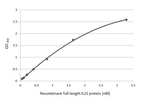 IL-21 Recombinant Rabbit Monoclonal Antibody (HL4849)
