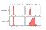 HTR1A Antibody in Flow Cytometry (Flow)
