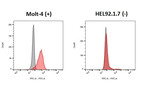 CCR9 Recombinant Rabbit Monoclonal Antibody (HL4846)