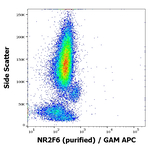 EAR2 Antibody in Flow Cytometry (Flow)