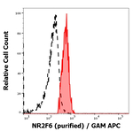 EAR2 Monoclonal Antibody (EM-51)