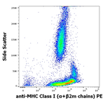 MHC Class I Antibody in Flow Cytometry (Flow)