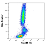MYO18A Antibody in Flow Cytometry (Flow)