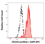 MYO18A Monoclonal Antibody (DY12)