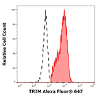 TRIM Antibody in Flow Cytometry (Flow)