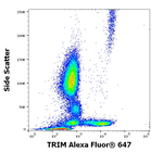 TRIM Antibody in Flow Cytometry (Flow)