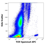 TCR V gamma 4 Antibody in Flow Cytometry (Flow)