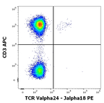 TCR V alpha 24 J alpha 18 Antibody in Flow Cytometry (Flow)