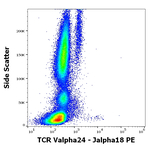 TCR V alpha 24 J alpha 18 Antibody in Flow Cytometry (Flow)