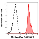 CD15 Monoclonal Antibody (MMA)