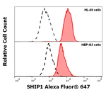 SHIP1 Monoclonal Antibody (SHIP-02), Alexa Fluor™ 647