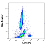 PAX5 Antibody in Flow Cytometry (Flow)