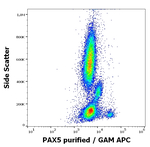 PAX5 Antibody in Flow Cytometry (Flow)
