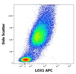 LOX-1 Antibody in Flow Cytometry (Flow)