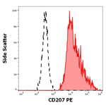 CD207 Monoclonal Antibody (2G3), PE