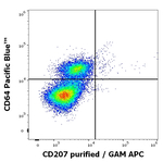 CD207 Monoclonal Antibody (2G3)