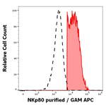 KLRF1 Monoclonal Antibody (5D12)