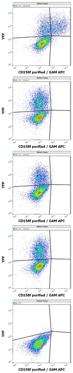 CD158f Antibody in Flow Cytometry (Flow)