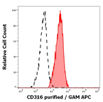 IGSF8 Monoclonal Antibody (8A12)