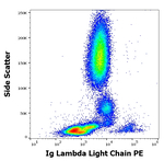 Immunoglobulins Lambda (Light Chain) Antibody in Flow Cytometry (Flow)
