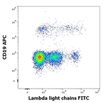 Immunoglobulins Lambda (Light Chain) Monoclonal Antibody (1-155-2), FITC