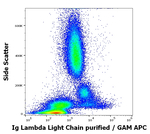Immunoglobulins Lambda (Light Chain) Antibody in Flow Cytometry (Flow)