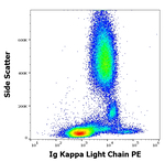 Immunoglobulins Kappa (Light Chain) Antibody in Flow Cytometry (Flow)