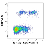 Immunoglobulins Kappa (Light Chain) Antibody in Flow Cytometry (Flow)