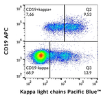 Immunoglobulins Kappa (Light Chain) Monoclonal Antibody (A8B5), Pacific Blue™