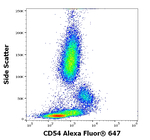 CD54 Antibody in Flow Cytometry (Flow)
