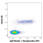 Human IgM Monoclonal Antibody (CH2), Biotin