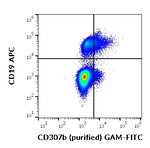 FCRL2 Monoclonal Antibody (B24)
