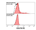 CD178 Monoclonal Antibody (NOK-1), PE