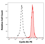 cyclin B1 Monoclonal Antibody (V152), PE