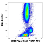 CXCR7 Antibody in Flow Cytometry (Flow)
