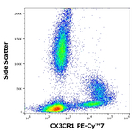CX3CR1 Antibody in Flow Cytometry (Flow)