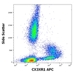 CX3CR1 Antibody in Flow Cytometry (Flow)