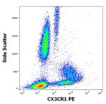 CX3CR1 Antibody in Flow Cytometry (Flow)