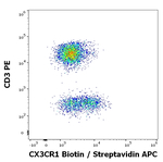 CX3CR1 Monoclonal Antibody (2A9-1), Biotin