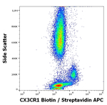 CX3CR1 Antibody in Flow Cytometry (Flow)