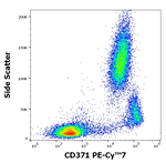 CLEC12A Antibody in Flow Cytometry (Flow)