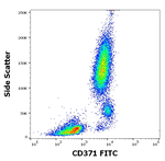 CLEC12A Antibody in Flow Cytometry (Flow)