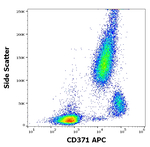 CLEC12A Antibody in Flow Cytometry (Flow)