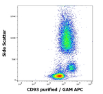 CD93 Antibody in Flow Cytometry (Flow)