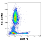 CD75 Antibody in Flow Cytometry (Flow)