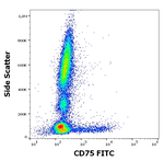 CD75 Antibody in Flow Cytometry (Flow)
