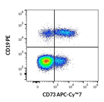 CD73 Antibody in Flow Cytometry (Flow)
