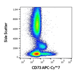 CD73 Antibody in Flow Cytometry (Flow)