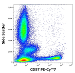 CD57 Antibody in Flow Cytometry (Flow)