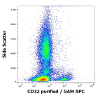 CD32 Antibody in Flow Cytometry (Flow)